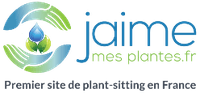 Jaimemesplantes.fr : le « plant-sitting » des plantes vertes