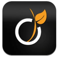 Viadeo : la gestion des profils améliorée sur les applications iOS et Android