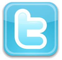 Twournal : faites de vos tweets un livre papier !