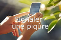 Une appli pour signaler les tiques