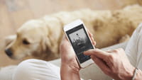Streaming musical, Amazon se lance aussi