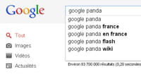 Google déploie sa mise à jour Panda en France