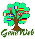 Geneweb 2020