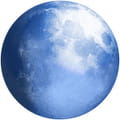 Palemoon