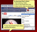 Télécharger FlashCatch (Extensions)