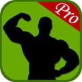 Best program musculation