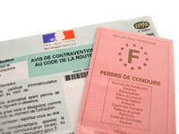 Deux sites qui ne comptent pas pour des prunes