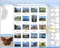 Microsoft picture manager 2010 download