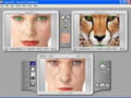 Télécharger Abrosoft FaceMixer (Retouche photo)