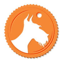Quel chien êtes-vous ?