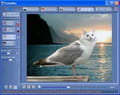 Foto mix