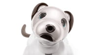 Le chien robot Aibo de Sony de retour