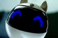 Winky, le premier robot éducatif made in France débarque sur le marché