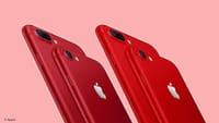 Apple obligée de retirer certains iPhone d'Allemagne