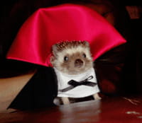 Spéciale Halloween