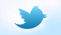 Nouveau Twitter : objectif veille pour les entreprises