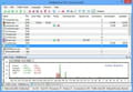 Net balancer