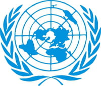 C'est la journée internationale des Nations Unies !