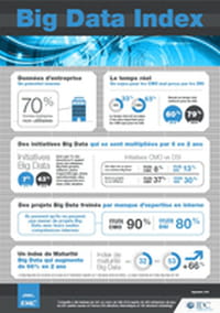 Big Data : « big » potentiel en France