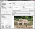 Tsr watermark image gratuit
