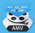 Amv converter