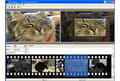 Photo film strip