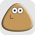 Pou gratuit
