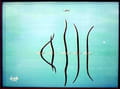 Télécharger Islamic Calligraphy screensaver (Personnalisation)