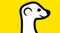 Meerkat : appli de vidéo en direct à succès