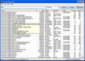 Torrent