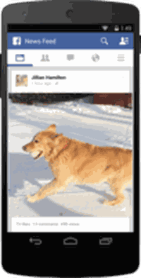 Facebook affiche le nombre de vues des vidéos