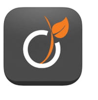 Viadeo lance son application optimisée pour l'iPad
