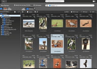 « Une solution de photothèque en ligne pour simplifier notre gestion documentaire »
