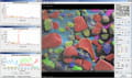 Logiciel pour microscope electronique