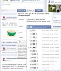 Publicité sur Facebook : comment fonctionnent les nouveaux « statuts » promus ?