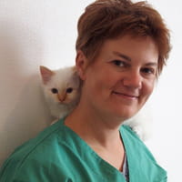Just Vet and Drive : MyBuddy Pet pour