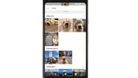 Google Photos reconnait vos animaux
