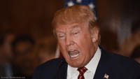 L'élection de Trump peut-elle nuire à Apple ?