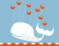 Twitter victime d'un bug ? (widgets-tweet_button.html.torrent)