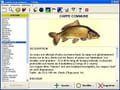 Logiciel de pêche en mer gratuit