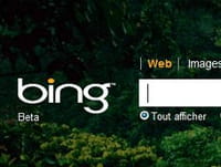 Bing