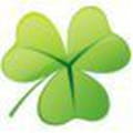 Clover windows