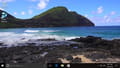 Fond d'écran vidéo gratuit