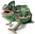 Logiciel cameleon