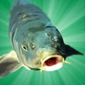 Carp fishing simulator gratuit