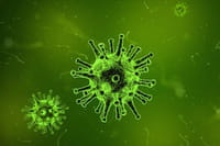 La plupart des antivirus pour Android ne servent à rien