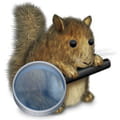 Easyfind windows