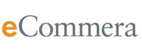 Le big data, donnée essentielle pour les directions ecommerce des marques