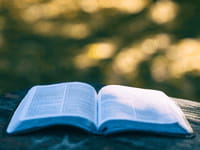 Qu'est-ce qu'on lit cet été ?