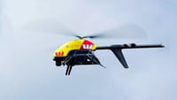 Des drones pour surveiller les requins
